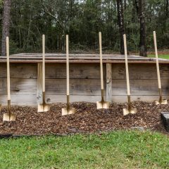 8 golden shovels lined up on the home site