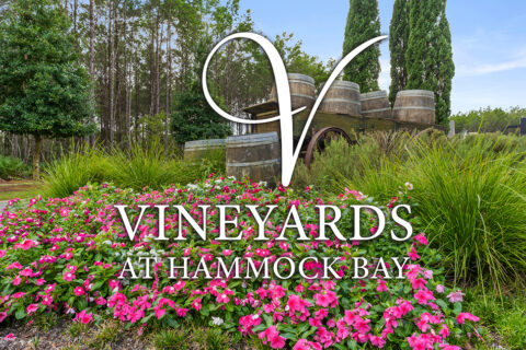 Video Tour of Vineyards at Hammock Bay